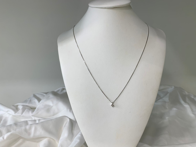 Collana in Oro con Punto Luce